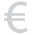 euro